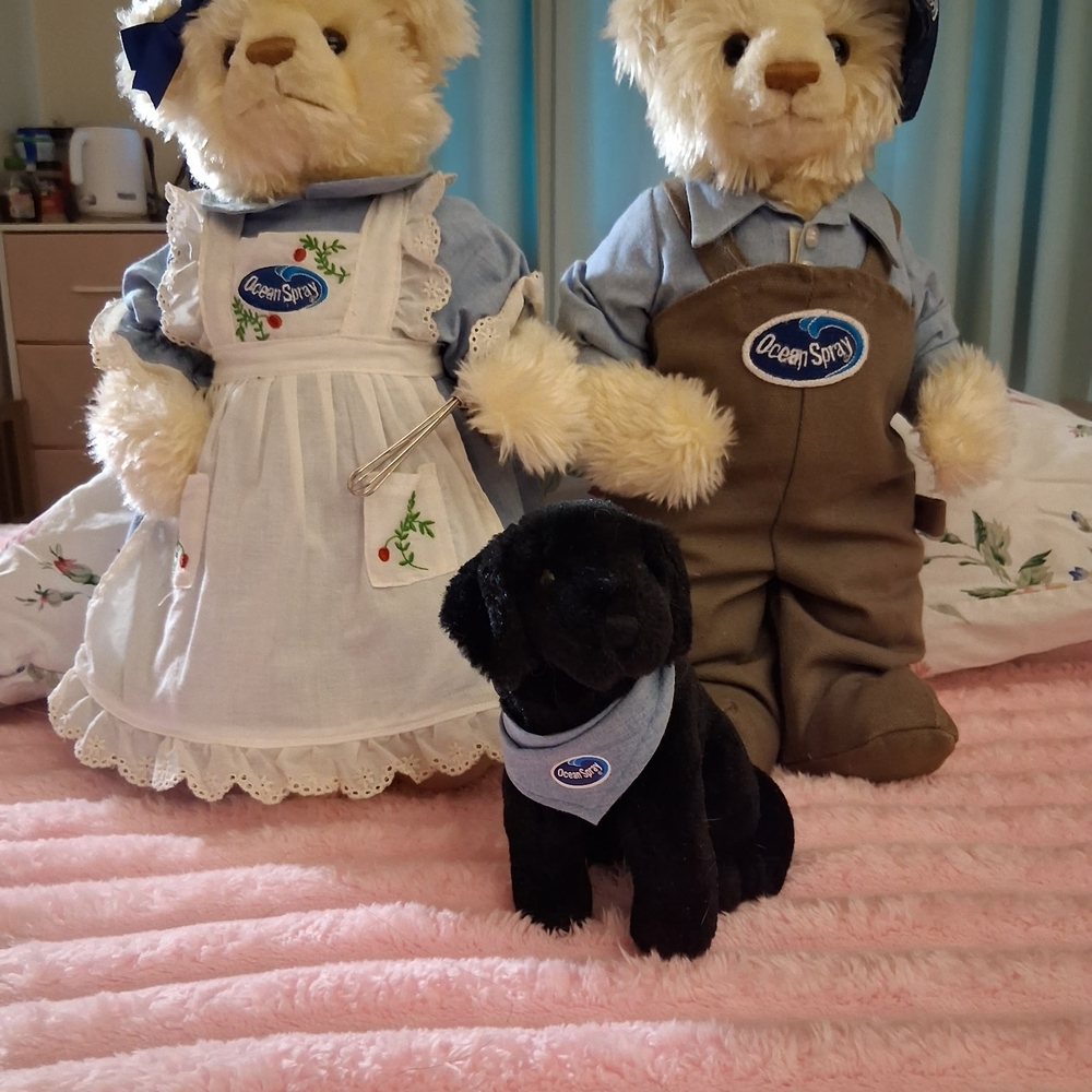Ocean Spray Teddy Bear Set with Black Dog